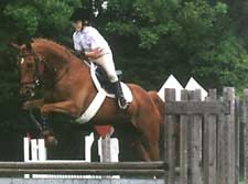 Curragh Equestrian Center