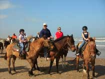 Horses On The Beach