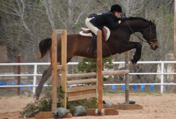 Hunter Chase Farms