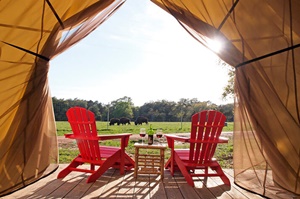 Blisswood Bed & Breakfast