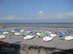 Surfboards on the beach