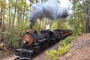 Texas State Railroad