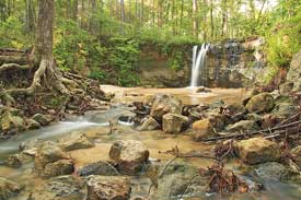 Beef Creek Falls