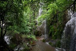 Gorman Falls