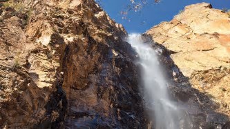 Pine Canyon