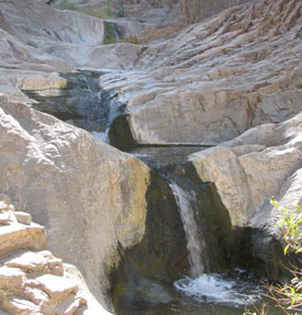Windows Trail