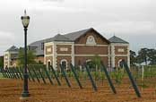 Delaney Vineyards