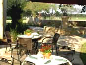 Grape Creek Winery and Vineyard