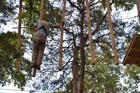 Tricky element at Trinity Forest Adventure Park