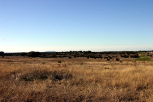 Bono, Texas