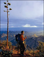 hiking in Big Bend