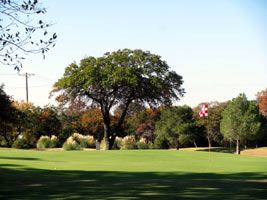 Shady Oaks Golf Course in Baird