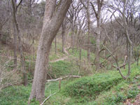 tough trail at Cameron Park